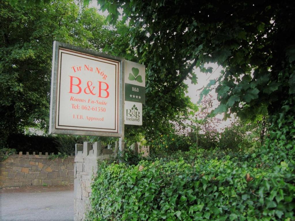Tir Na Nog B&B Cashel  Dış mekan fotoğraf