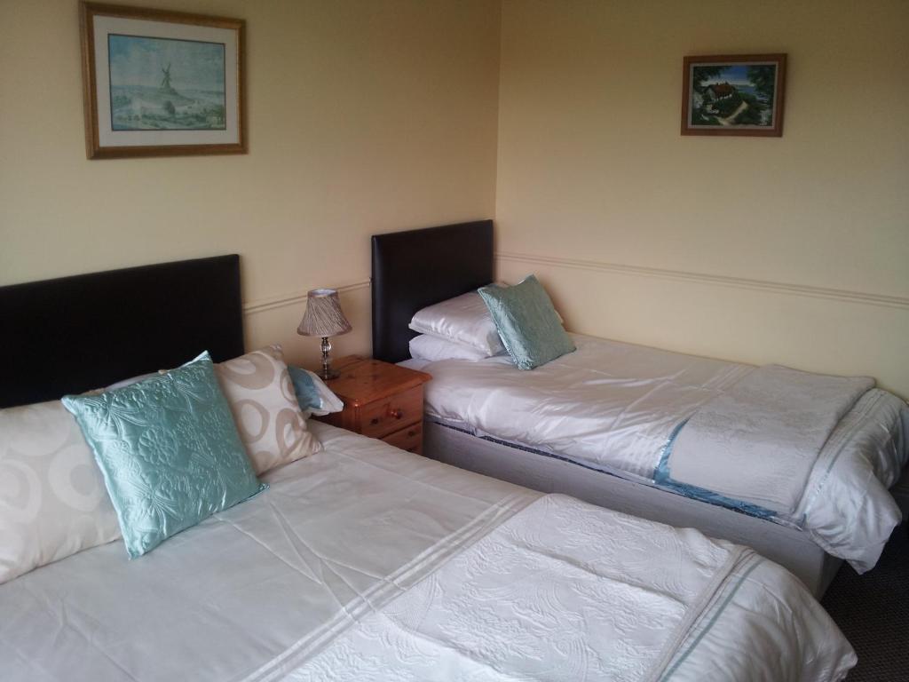 Tir Na Nog B&B Cashel  Dış mekan fotoğraf