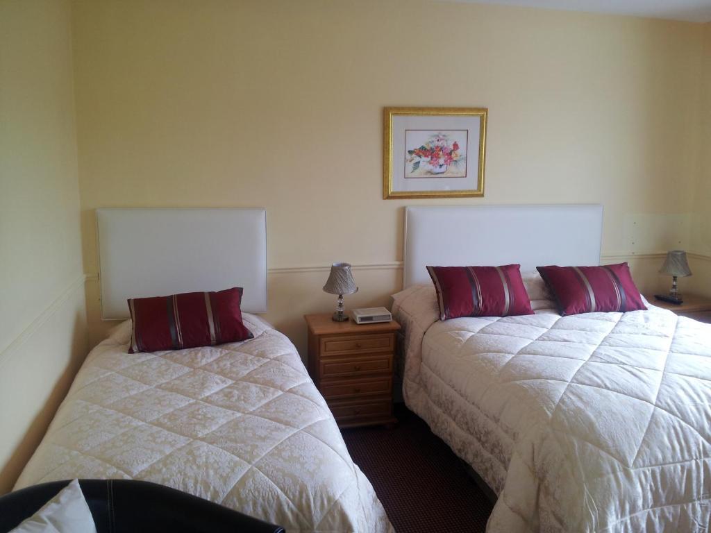 Tir Na Nog B&B Cashel  Dış mekan fotoğraf